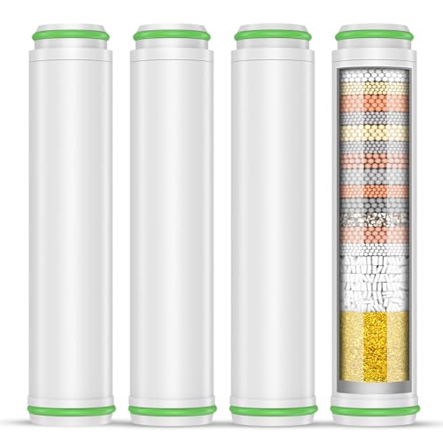 Shower Filter for Handheld Shower Head