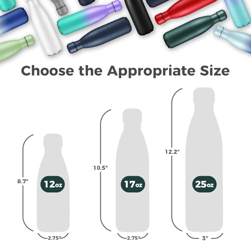 17oz Insulated Stainless Steel Water Bottle