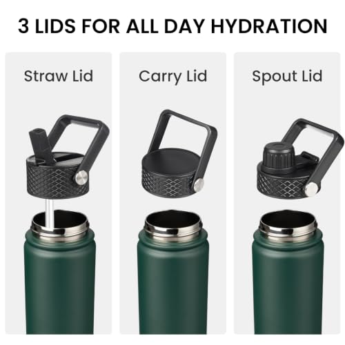 22 oz Insulated Stainless Steel Water Bottle with Straw Lid