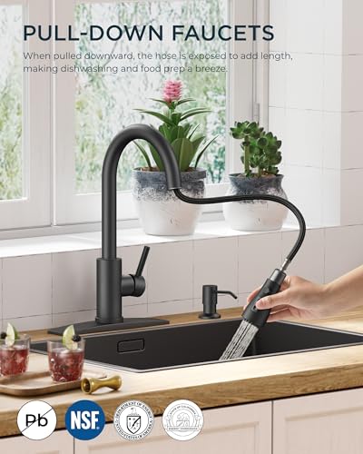 Black Kitchen Faucet