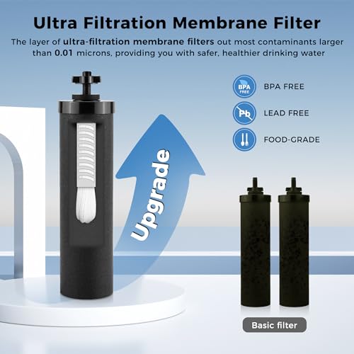 Activated Carbon Black Water Filter Compatible with Berkey® (2 Count)