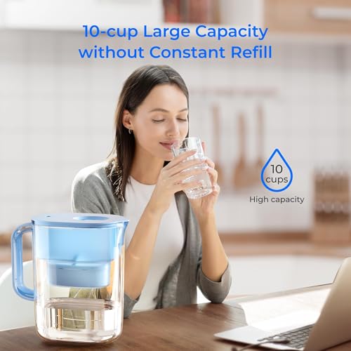 PT 07B Water Filter Pitcher with 3 Filters