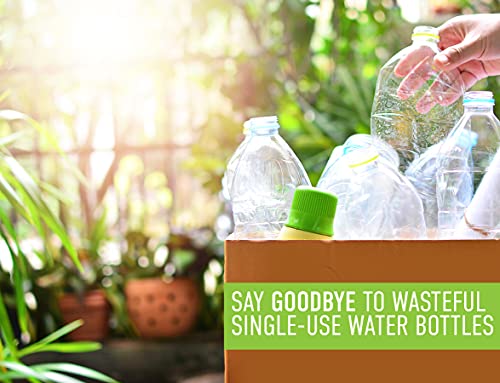 WaterWeek Refillable Water Bottles (5 Count)