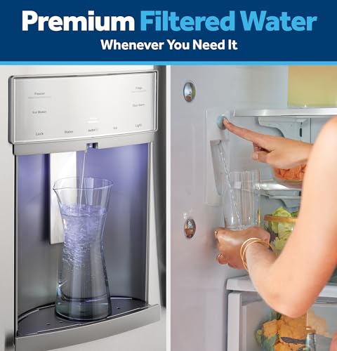 RPWFE Refrigerator Water Filter (2 Count)