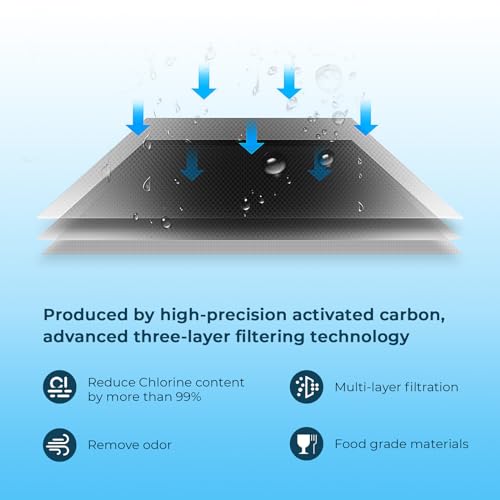 XWFE (Built-in CHIP) Refrigerator Water Filter 4-Pack (4 Count)