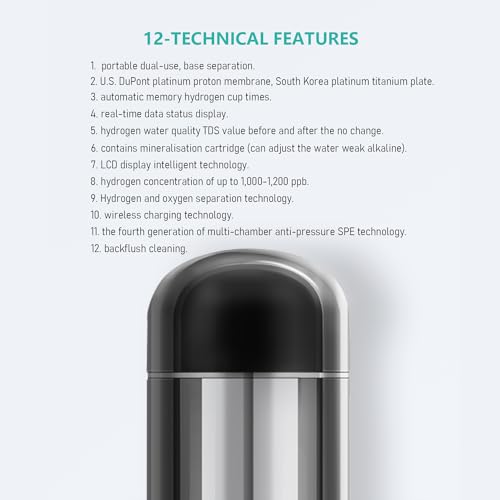 ZFFQ 500 Hydrogen