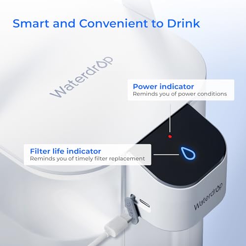 ED01W Electric Water Filter Pitcher with 4 Filters