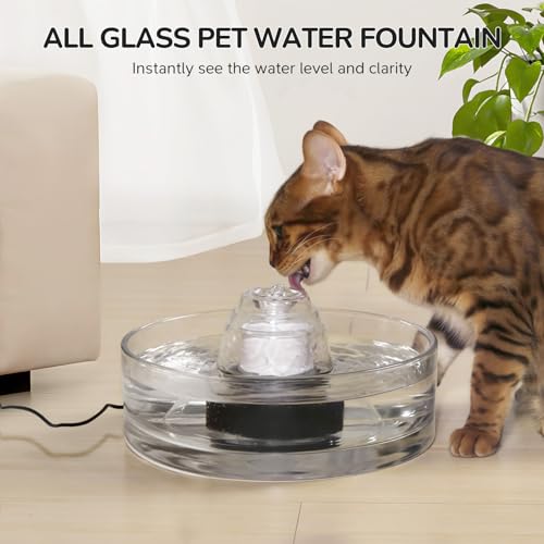 Transparent Glass Cat Water Fountain Cover (92 Fl Oz)