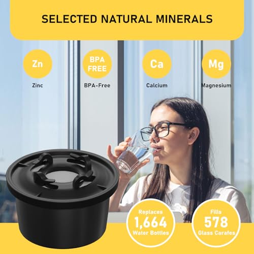 RO100ROPOT Remineralization Water Filters Replacement (4 Count)