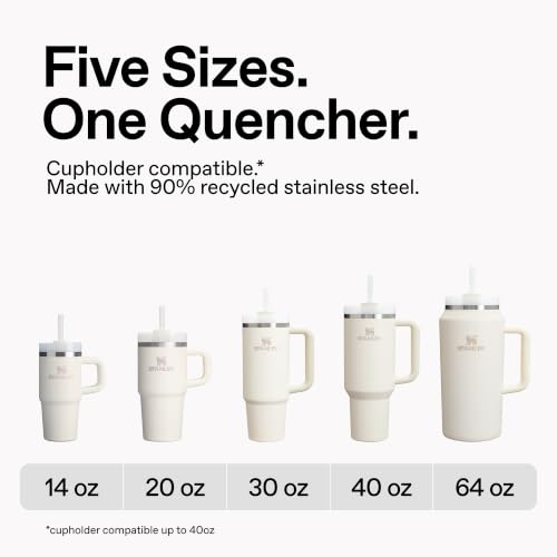 Quencher H2.0 Tumbler with Handle and Straw 20 oz