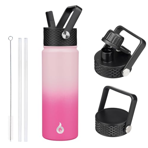 22oz Insulated Water Bottle with Straw Lid