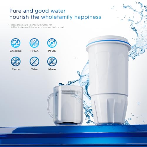 9 Pack Water Filter Replacement (9 Count)