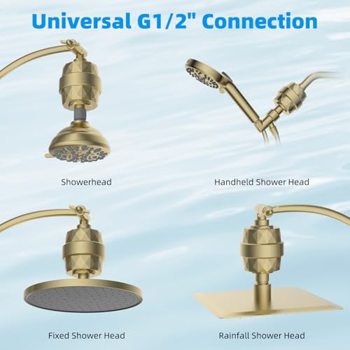 Shower Head Filter