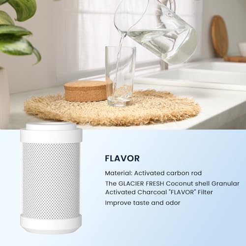 Replacement Filter for GFRVWP03 RV Water Filter System 1 set (3 Count)