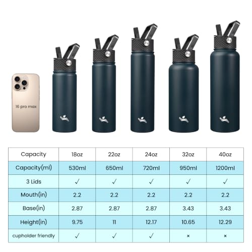 40 oz Insulated Stainless Steel Water Bottle with Straw Lid