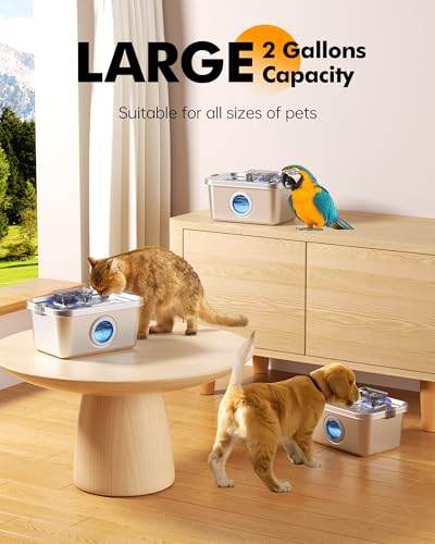 Dog Water Fountain