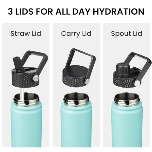 24 oz Insulated Stainless Steel Water Bottle with Straw Lid