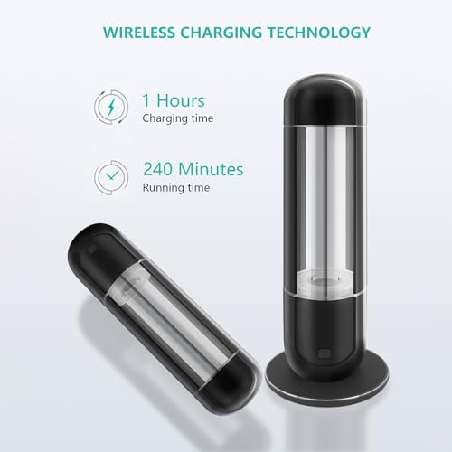 ZFFQ 500 Hydrogen