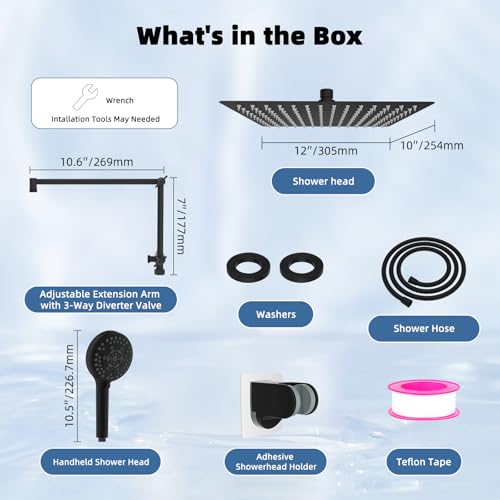 12" Metal Rain Shower Head with Handheld