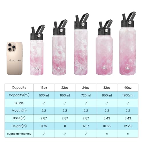 24 oz Insulated Stainless Steel Water Bottle with Straw Lid