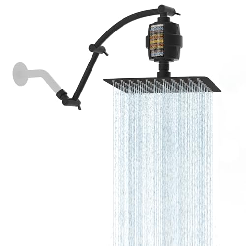 10'' Filtered Rain Shower Head with 16'' Extension Arm