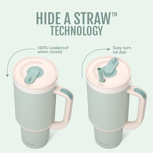 Oasis 30oz Insulated Stainless Steel Tumbler with Straw
