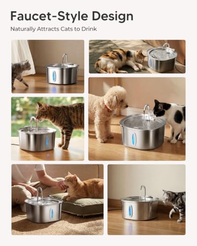 Cat Water Fountain