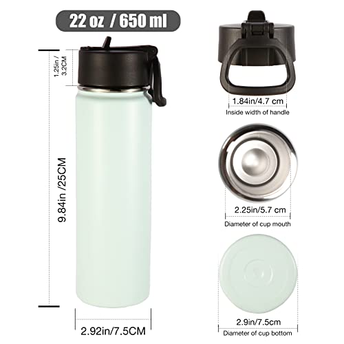 22 oz Insulated Water Bottles with Straw Lid