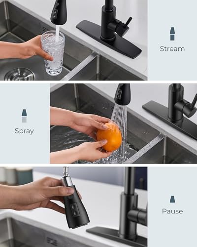 Black Kitchen Faucet
