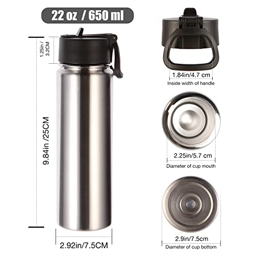 22 oz Insulated Water Bottles with Straw Lid