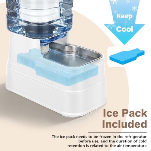 1.6 Gallon Pet Automatic Dog Water Dispenser Cat Gravity Waterer Feeder with Stainless Steel Bowl 8L Large Capacity Puppy Feeding Raised Bowls with Filter