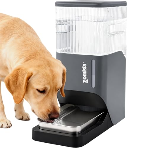 Automatic Dog Water Dispenser 11L with Stainless Steel Bowl