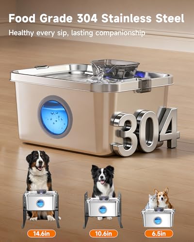 12L 3.2Gal Dog Water Fountain Elevated