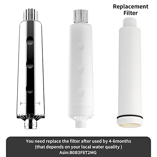 legionela in Line Shower Head Filter