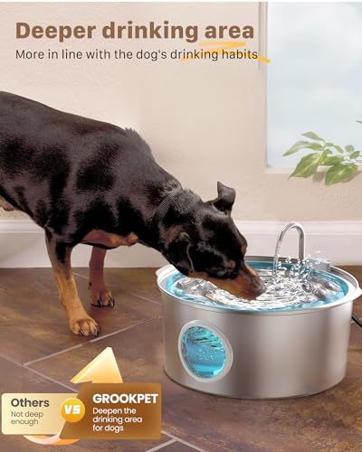 Dog Water Fountain for Large Dogs