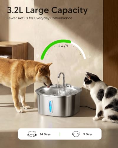 Cat Water Fountain