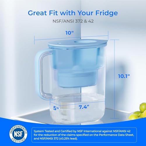 PT 07B Water Filter Pitcher with 3 Filters
