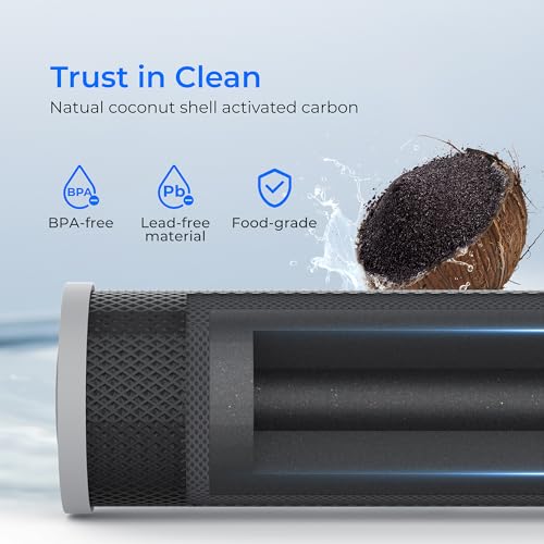 Whole House CTO Carbon Sediment Filter for GE® FXHTC (3 Count)