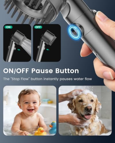 Filtered Shower Head with Handheld 2PCS Filters ShowerHead