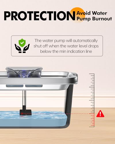 Dog Water Fountain