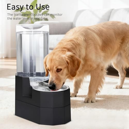 8L Raised Pet Water Dispenser