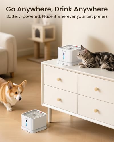 Cordless Cat Water Fountain