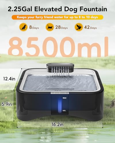 10 Pcs Replacement Filters for 8.5L Elevated Dog Water Fountain