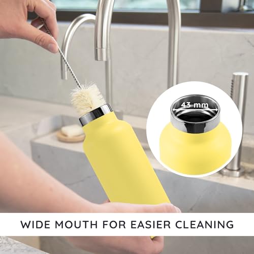 16 oz Insulated Water Bottle