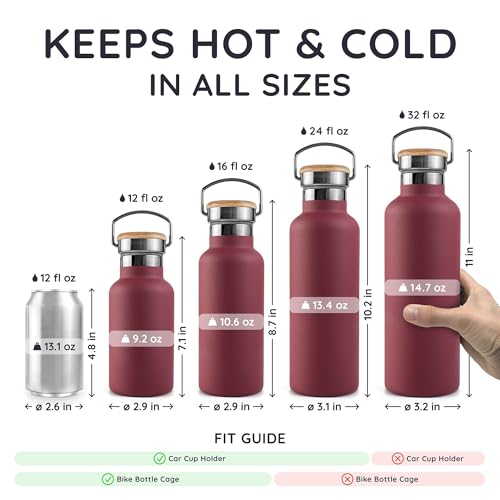 Small Stainless Steel Water Bottle 12 oz with Handle