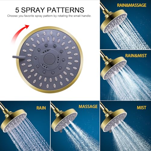 Shower Head with Shower Filter