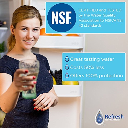 Refresh Refrigerator Water Filter Replacement for LG LT500P (4 Count)