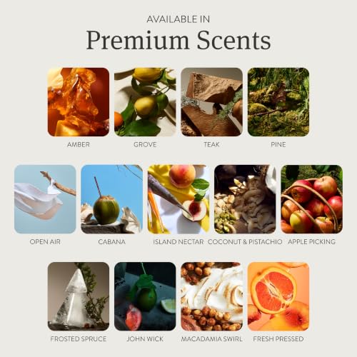 Car Air Freshener (3.3863 Ounce)