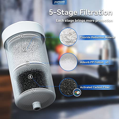 PF 2 Fluoride Purification Elements (2 Count)