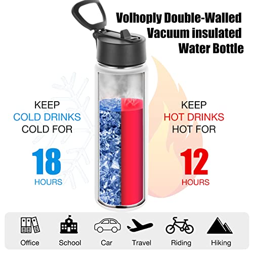 22 oz Insulated Water Bottles with Straw Lid
